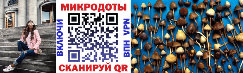 магазин продажи   Теберда  Псилоцибиновые грибы Cubensis 